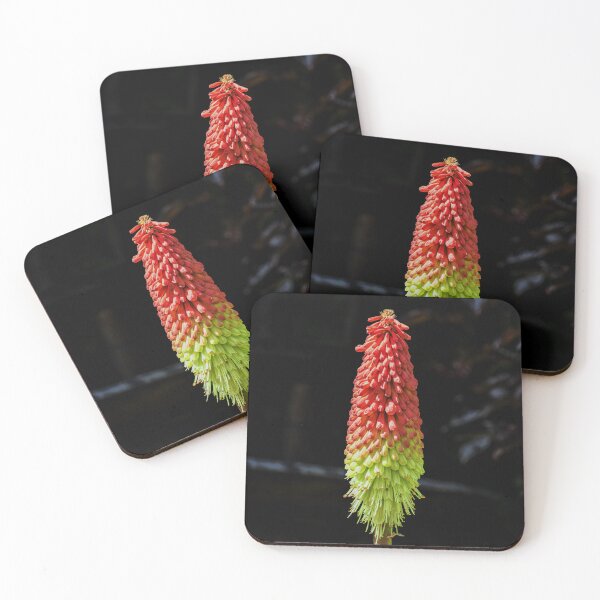Item preview, Red Hot Poker designed and sold by Tom McPherson Photography.