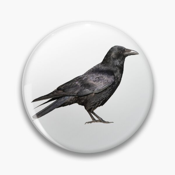 Item preview, Crow designed and sold by kyra0nicole.