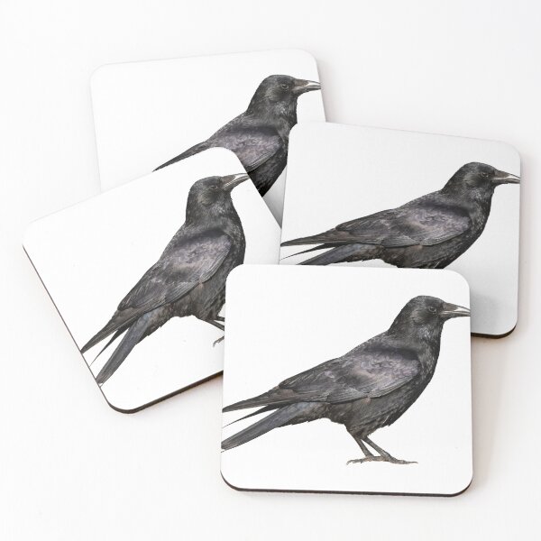 Item preview, Crow designed and sold by kyra0nicole.