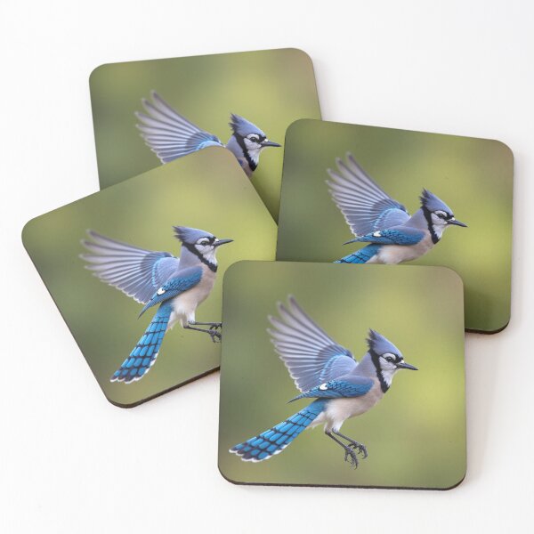 Item preview, blue jay in flight designed and sold by laurakerr.