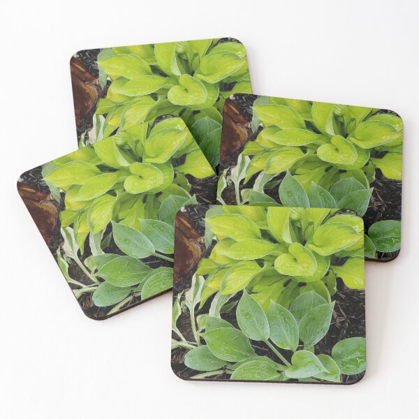 Item preview, Rainy day hosta. designed and sold by MyTimeDesign.