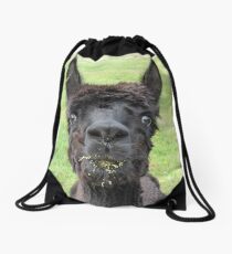 Alpaca Drawstring Bag