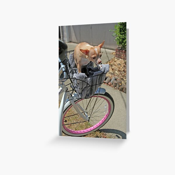 Driving Miss Daisy Greeting Card