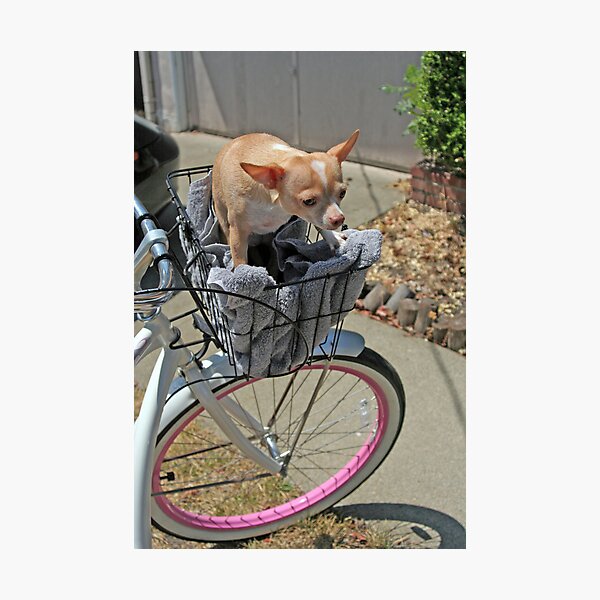 Driving Miss Daisy Photographic Print