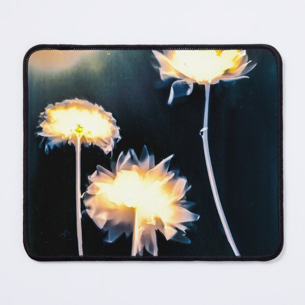 Item preview, Lumen Print Art - Alternative Photographic Process designed and sold by OakandFloraShop.