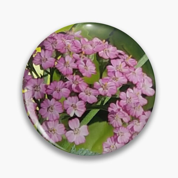 Item preview, Pink Yarrow in Bloom designed and sold by MyTimeDesign.