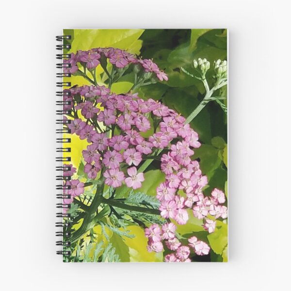 Item preview, Pink Yarrow in Bloom designed and sold by MyTimeDesign.