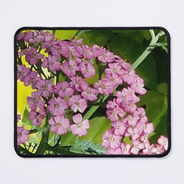 Item preview, Pink Yarrow in Bloom designed and sold by MyTimeDesign.