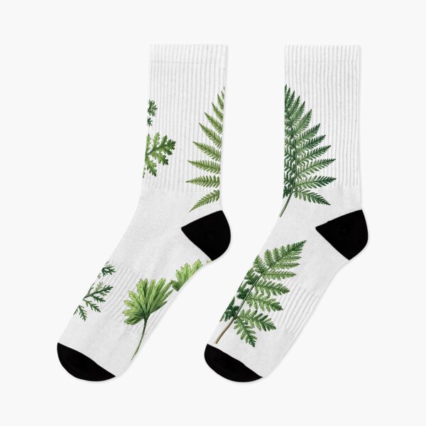 Item preview, Vintage Botanical Ferns and Leaves Illustration: Classic Greenery Study designed and sold by RoseVathRam.