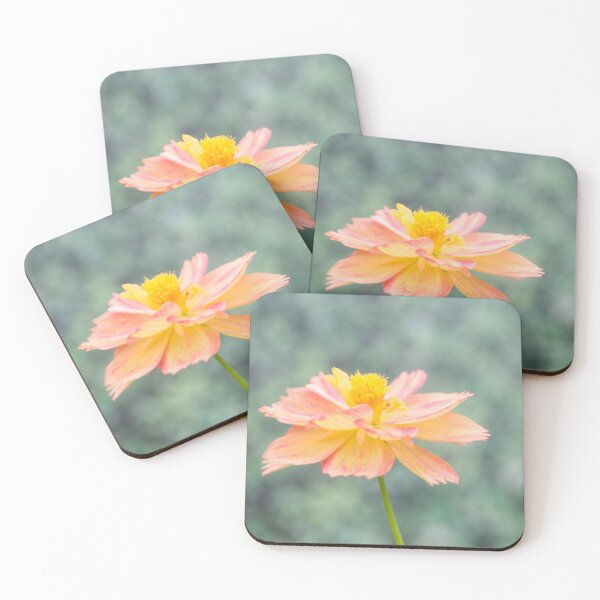 Item preview, Sulfur cosmos 02 designed and sold by ROSE ANN BANILAR.