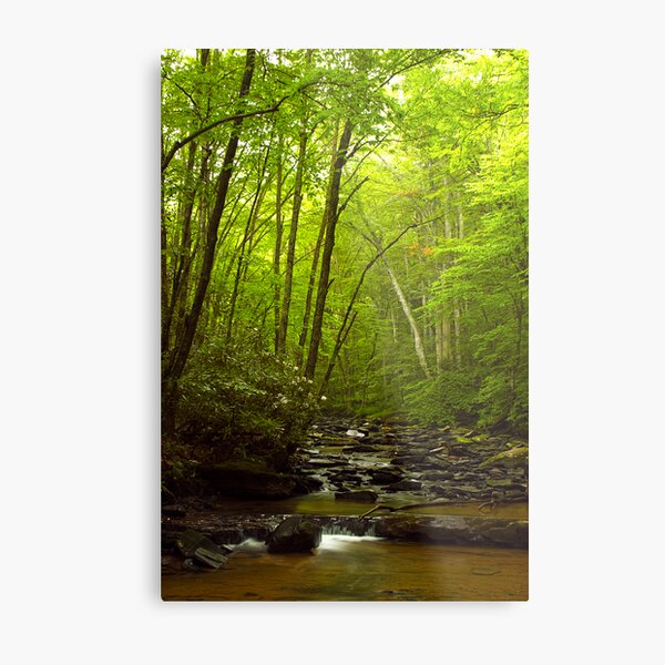 Tranquility Metal Print