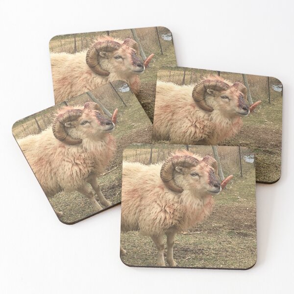 Item preview, Battle-Scarred Ram After Fight | Realistic Wildlife Photography designed and sold by snapshotszach.