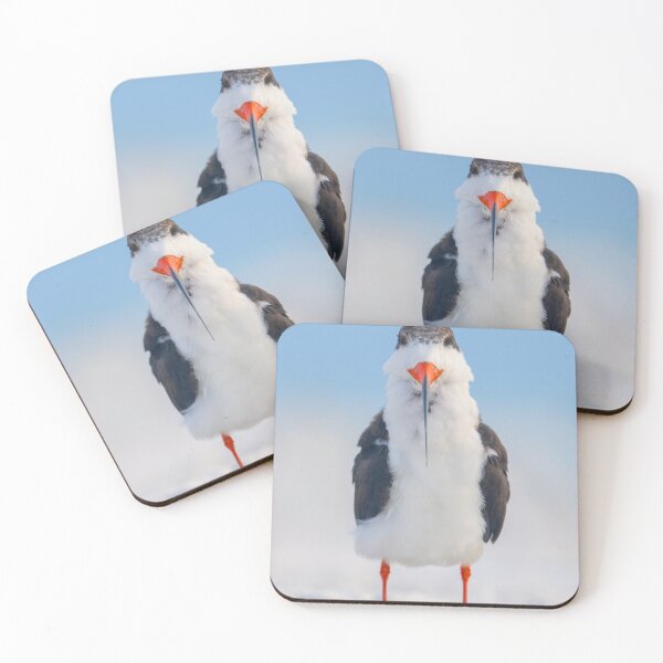 Item preview, Black skimmer designed and sold by Kristian Bell.