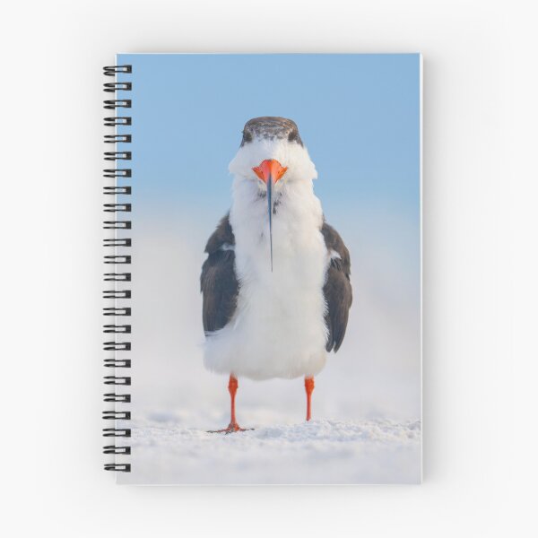Item preview, Black skimmer designed and sold by Kristian Bell.