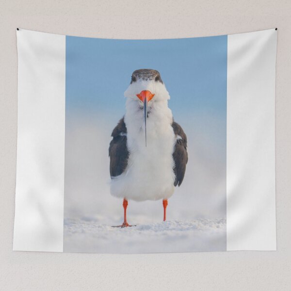 Item preview, Black skimmer designed and sold by Kristian Bell.