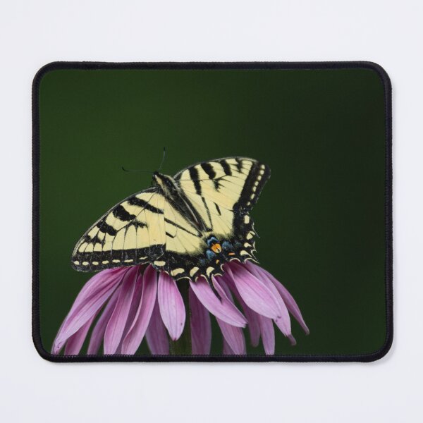 Item preview, Canadian Tiger Swallowtail on Echinacea designed and sold by Roxane Bay.