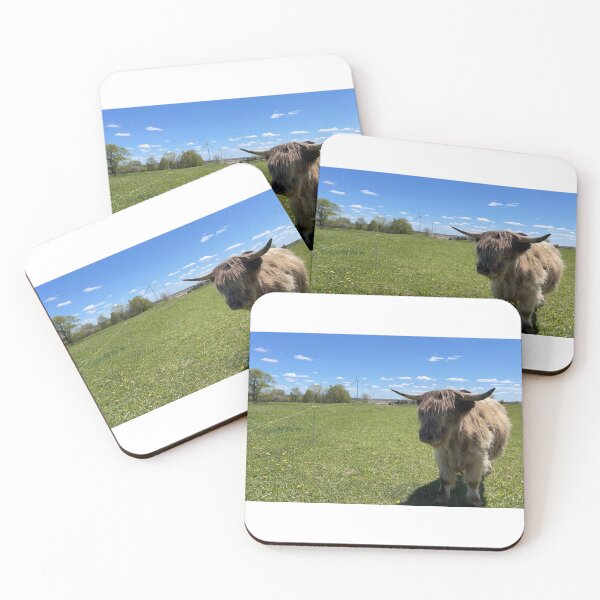 Item preview, Fluffy Highland Cow Pasture | Scottish Cattle Photography designed and sold by snapshotszach.