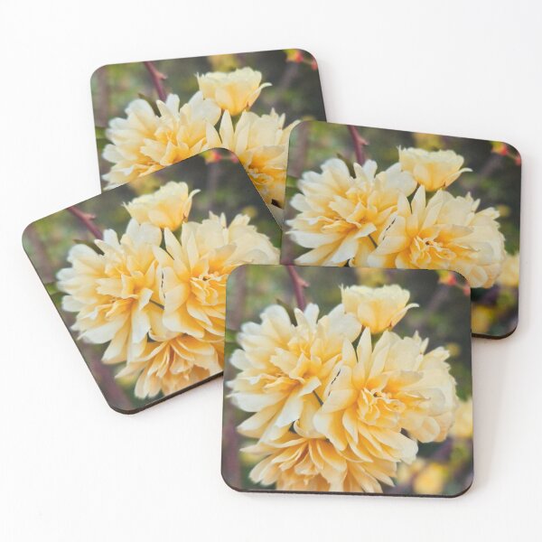 Item preview, Cream floral designed and sold by Courtney Croxall.