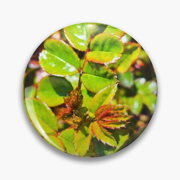 Item preview, Waxy greens designed and sold by Courtney Croxall.