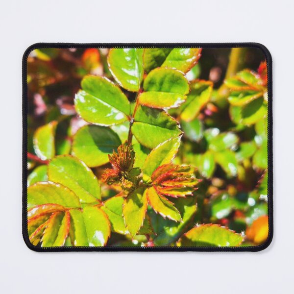Item preview, Waxy greens designed and sold by Courtney Croxall.