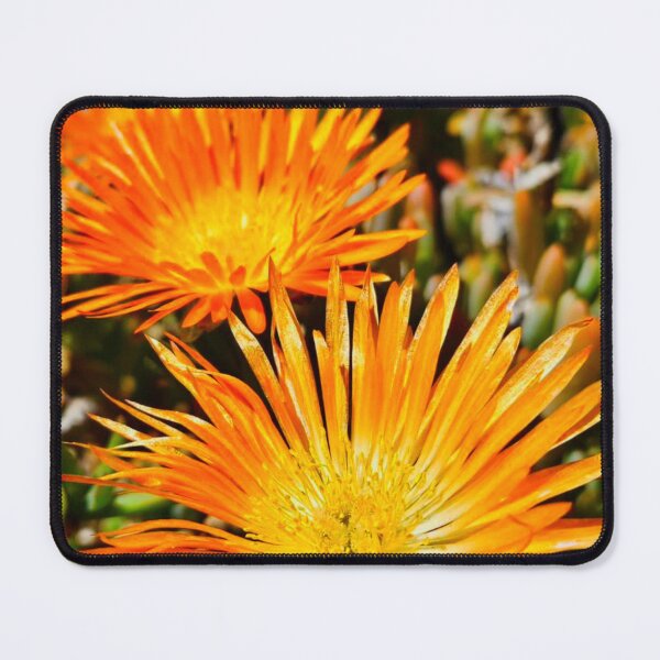 Item preview, Lighter orange designed and sold by Courtney Croxall.