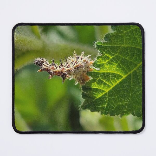 Item preview, Caterpillar  designed and sold by Courtney Croxall.