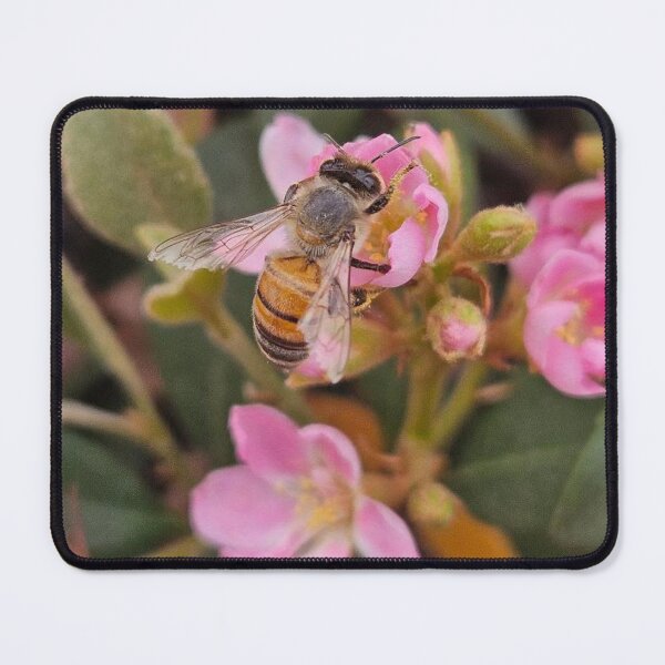 Item preview, Busy bee designed and sold by Courtney Croxall.
