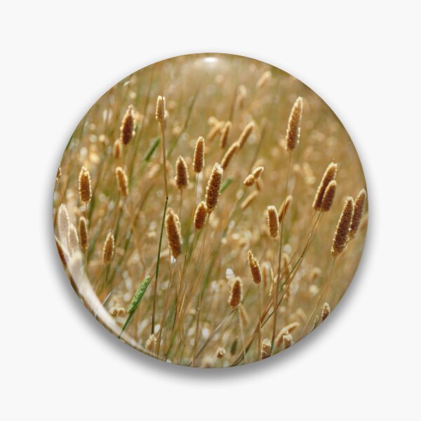 Item preview, Golden Fluffy Grass Shining in the Afternoon Sun designed and sold by jaynerushton.