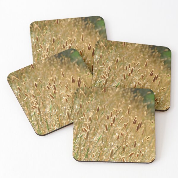 Item preview, Golden Fluffy Grass Shining in the Afternoon Sun designed and sold by jaynerushton.
