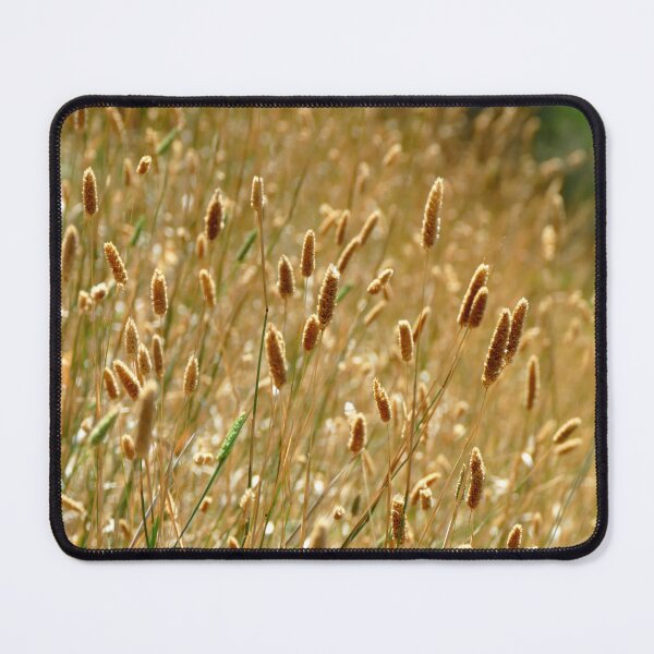 Item preview, Golden Fluffy Grass Shining in the Afternoon Sun designed and sold by jaynerushton.