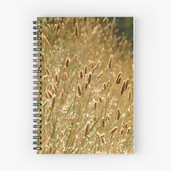 Item preview, Golden Fluffy Grass Shining in the Afternoon Sun designed and sold by jaynerushton.