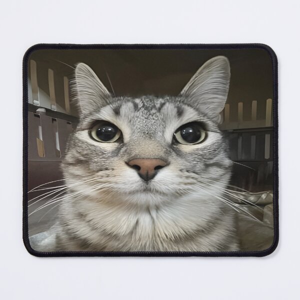 Item preview, Funny Cat Wait Im Goated  designed and sold by WSTRap.