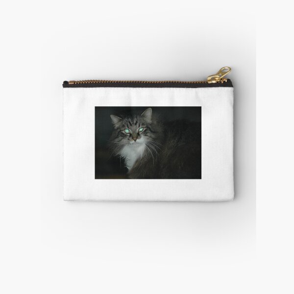 Item preview, cat's eyes designed and sold by Margaret Shark.