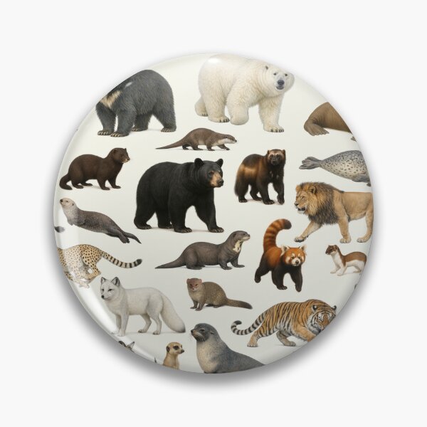 Item preview, Animals of the Order Carnivora Retro Identification Chart designed and sold by kakarikihill.