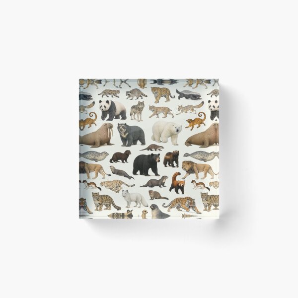 Item preview, Animals of the Order Carnivora Retro Identification Chart designed and sold by kakarikihill.