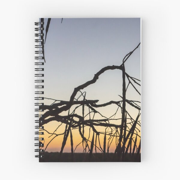 Item preview, Tree silhouette. designed and sold by Anne Scantlebury.