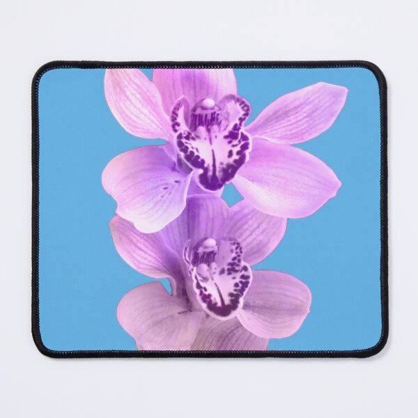 Item preview, Light Purple Orchid Trio On Blue designed and sold by hurmerinta.