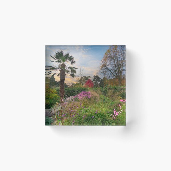 Item preview, Sheffield Botanical Gardens Autumn designed and sold by Alisonchambers2.