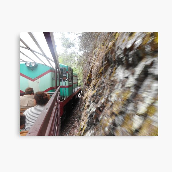 Narrow Guage Train Canvas Print