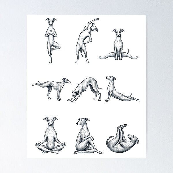 Item preview, Posturas de yoga vintage con whippets, divertidas, para amantes de los perros y la meditación. designed and sold by DoodleTortle.