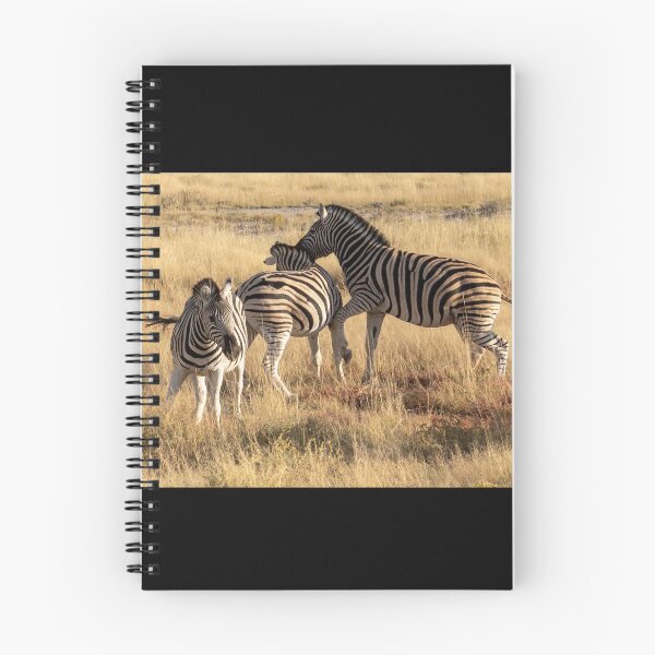 Item preview, Zebra playing. designed and sold by Anne Scantlebury.