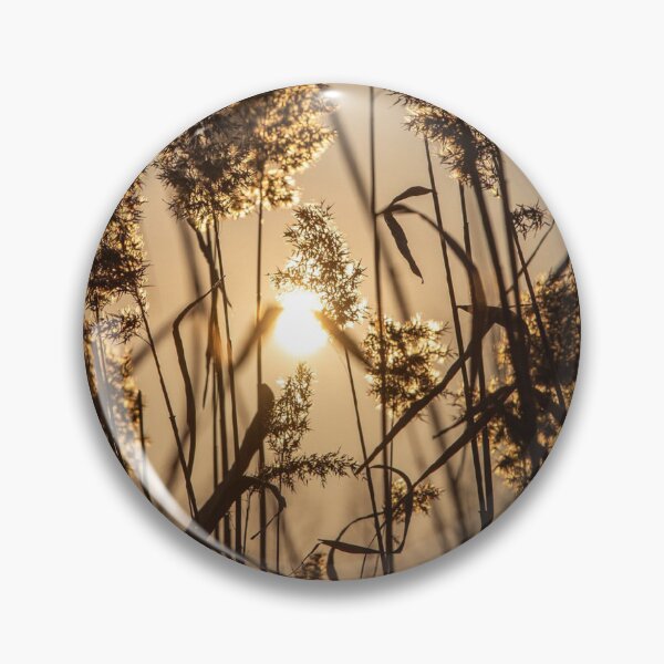 Item preview, Sunset Through Grasses Photographic Print designed and sold by Mother-Nature65.