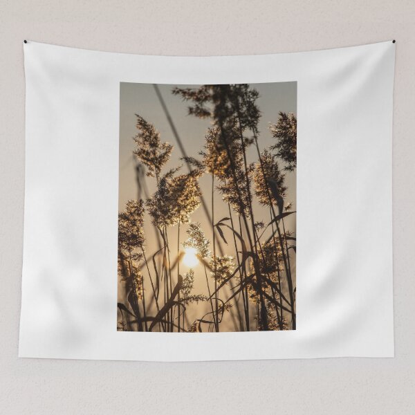 Item preview, Sunset Through Grasses Photographic Print designed and sold by Mother-Nature65.
