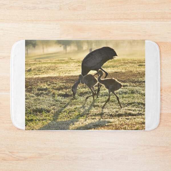 Item preview, Cranes Grazing in Morning Light designed and sold by MercerImages.