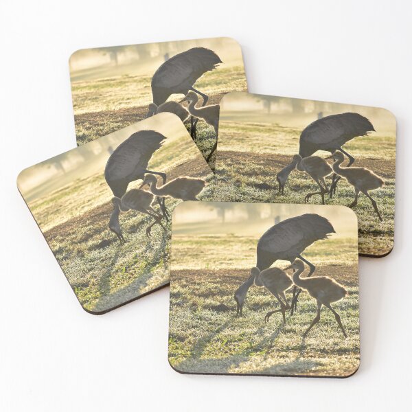 Item preview, Cranes Grazing in Morning Light designed and sold by MercerImages.