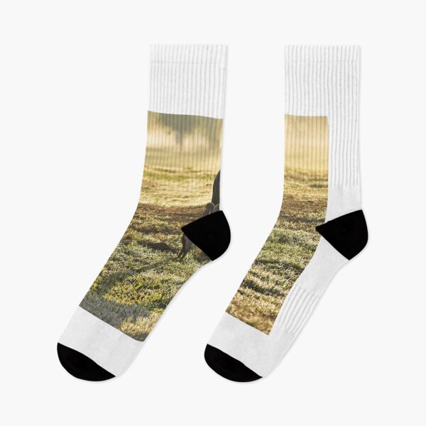 Item preview, Cranes Grazing in Morning Light designed and sold by MercerImages.