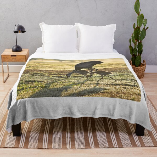 Item preview, Cranes Grazing in Morning Light designed and sold by MercerImages.