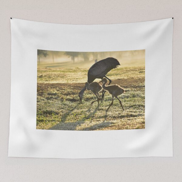 Item preview, Cranes Grazing in Morning Light designed and sold by MercerImages.