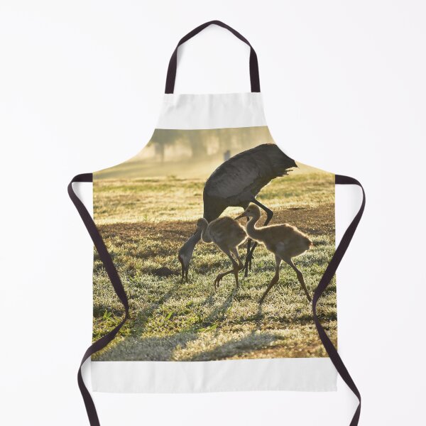 Item preview, Cranes Grazing in Morning Light designed and sold by MercerImages.