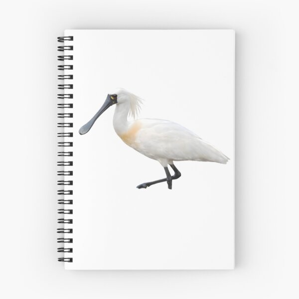 Item preview, Black-faced Spoonbill (Platalea minor) designed and sold by HOMETOWN86.